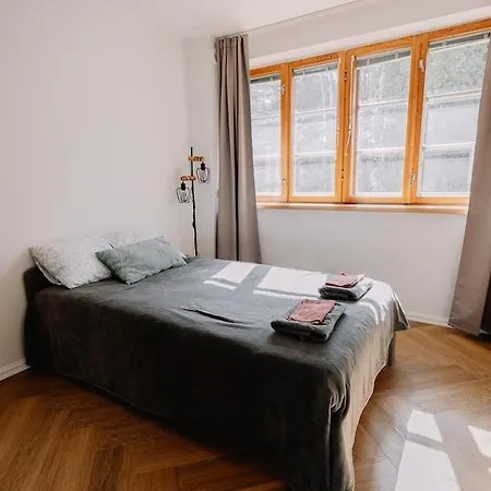 度假居 Private Seaside House With Hottub And Sauna 派尔努